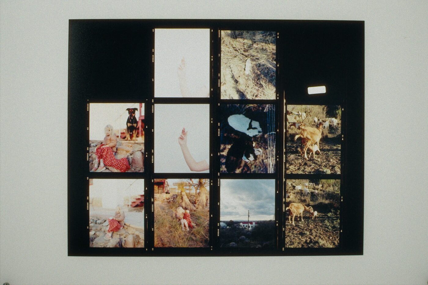 Contact sheets detail