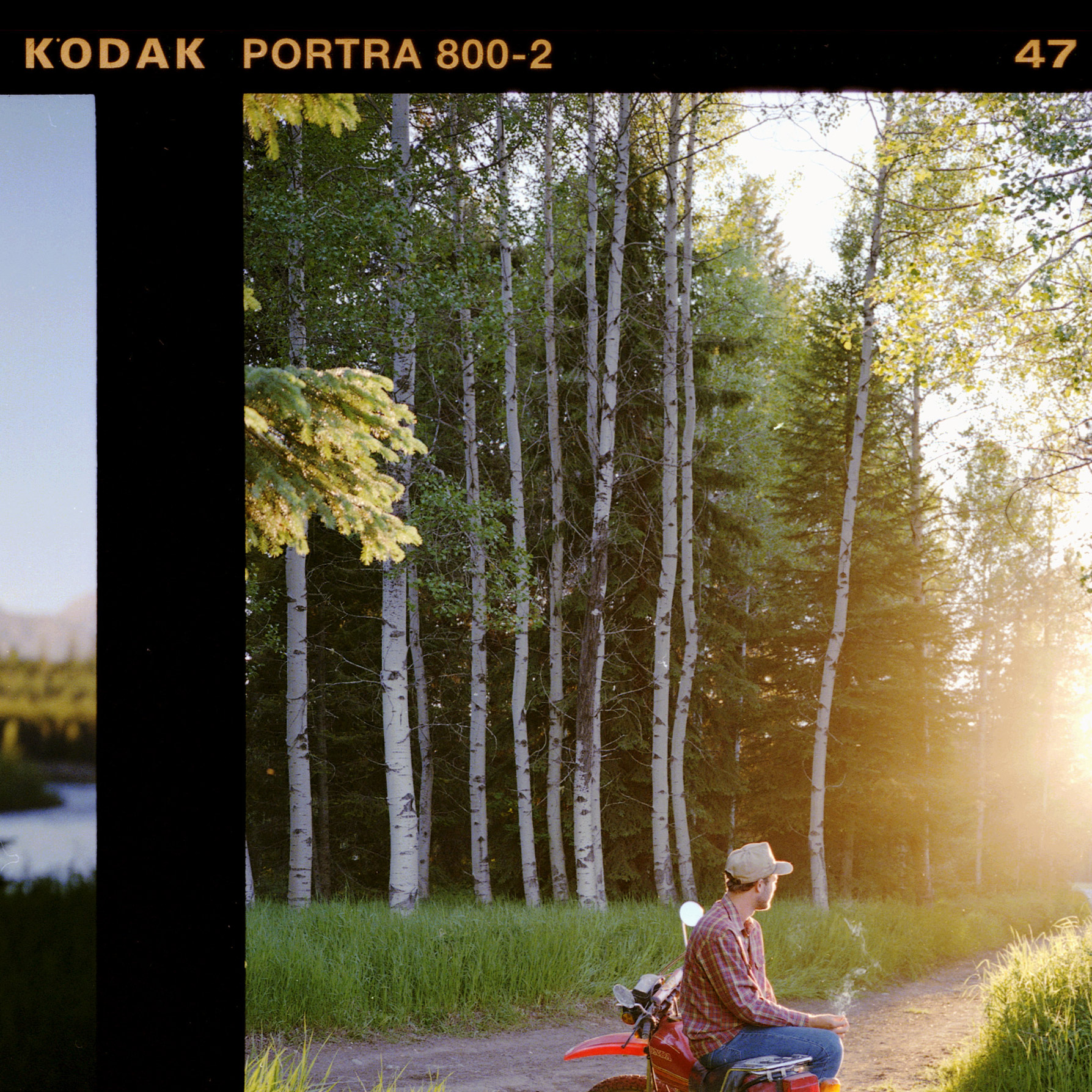 100% crop of the sample scan, © Forrest Mankins