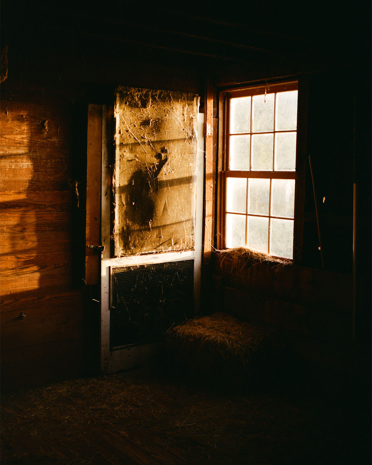 Mamiya 7 on Kodak Portra 400