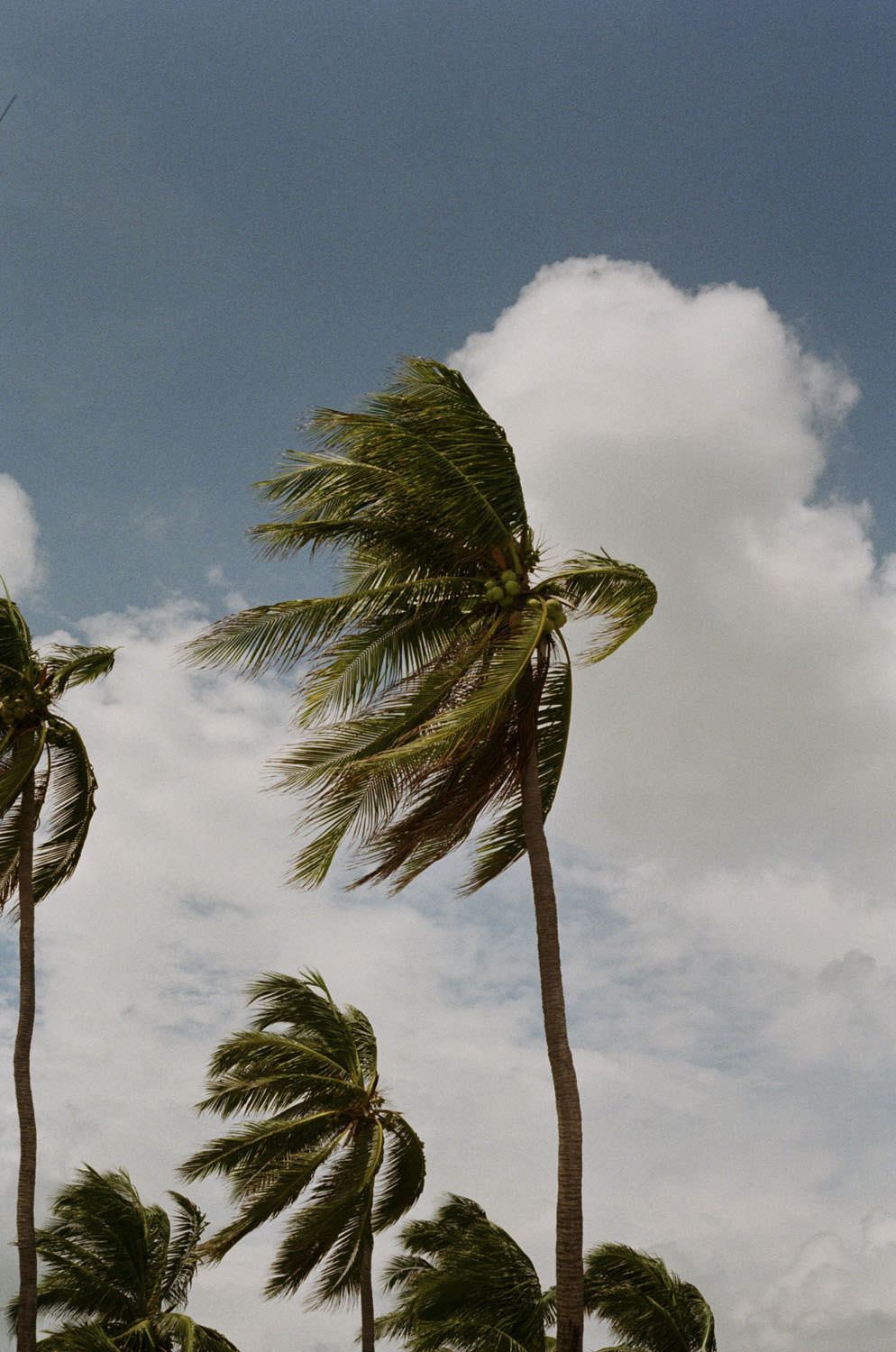 Photo by Molly Owens